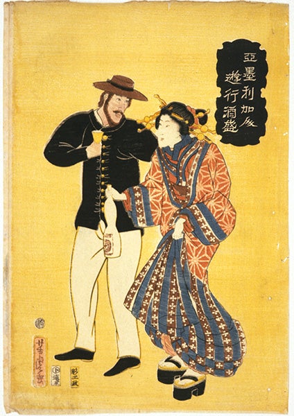 American Strolling and Drinking with Courtesan