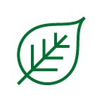 Green leaf icon