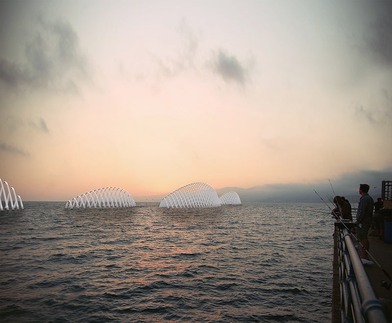 wave buoys within Cetacea float at sea level to capture wave energy