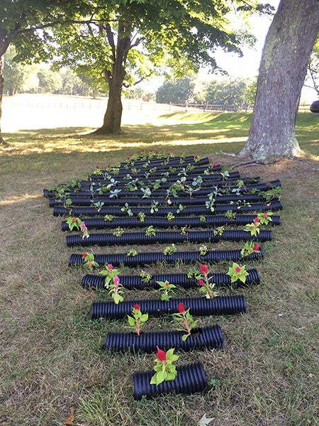 A project by Margo Barajas to keep groundhogs close to their burrows but away from farm fields