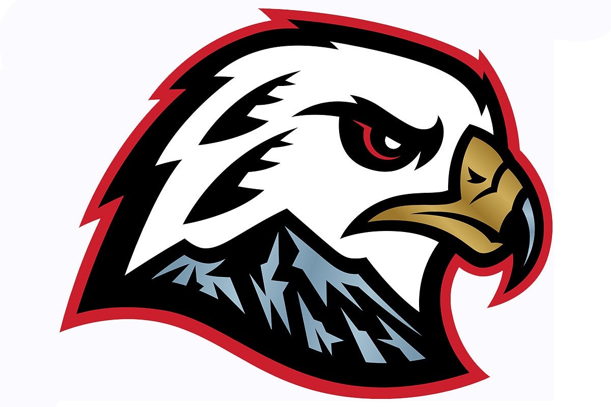 graphic of Winterhawks logo