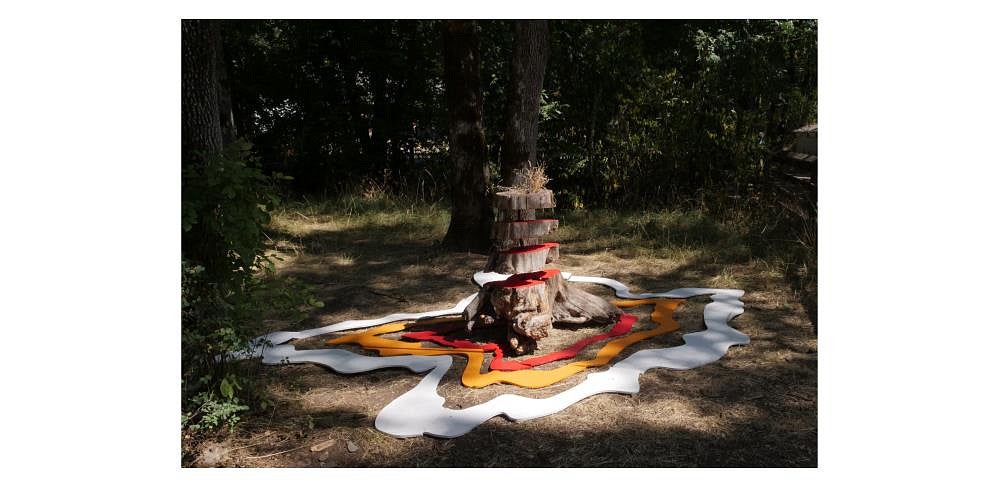 Ripple Effect:  During its decay or after a fire, a snag lends energy and provides a habitat for mushrooms, insects, mammals, birds, and many other organisms. This installation reflects recovery after death and the connections that extend past mortality.