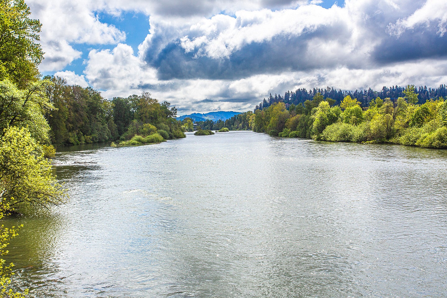 Photo of the Willamette River