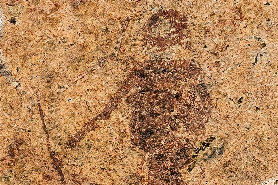 News header for art history.