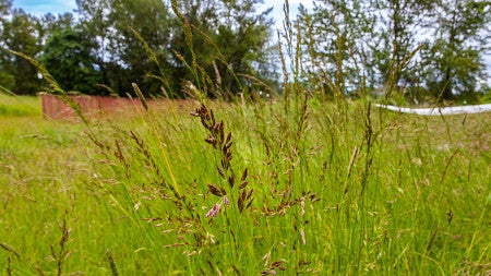 Photo of the Riverside Site.