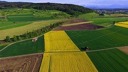 aerial view of farmland