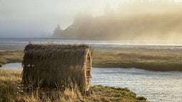 Wooden cylinder structure in a field