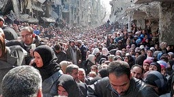 crowd of people on the street