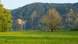 The Shire and Multnomah Falls