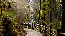 Silver Falls State Park