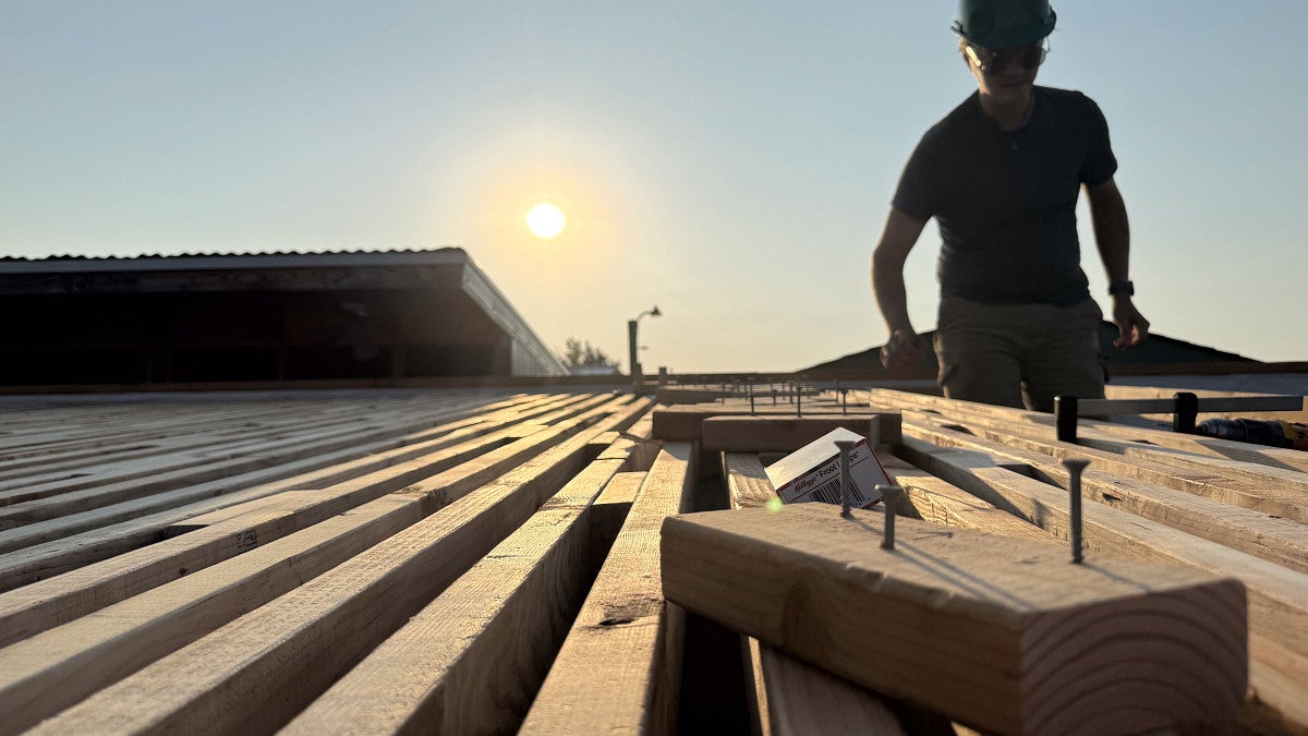 Scenic photograph of a student working with wood during a sunset. 