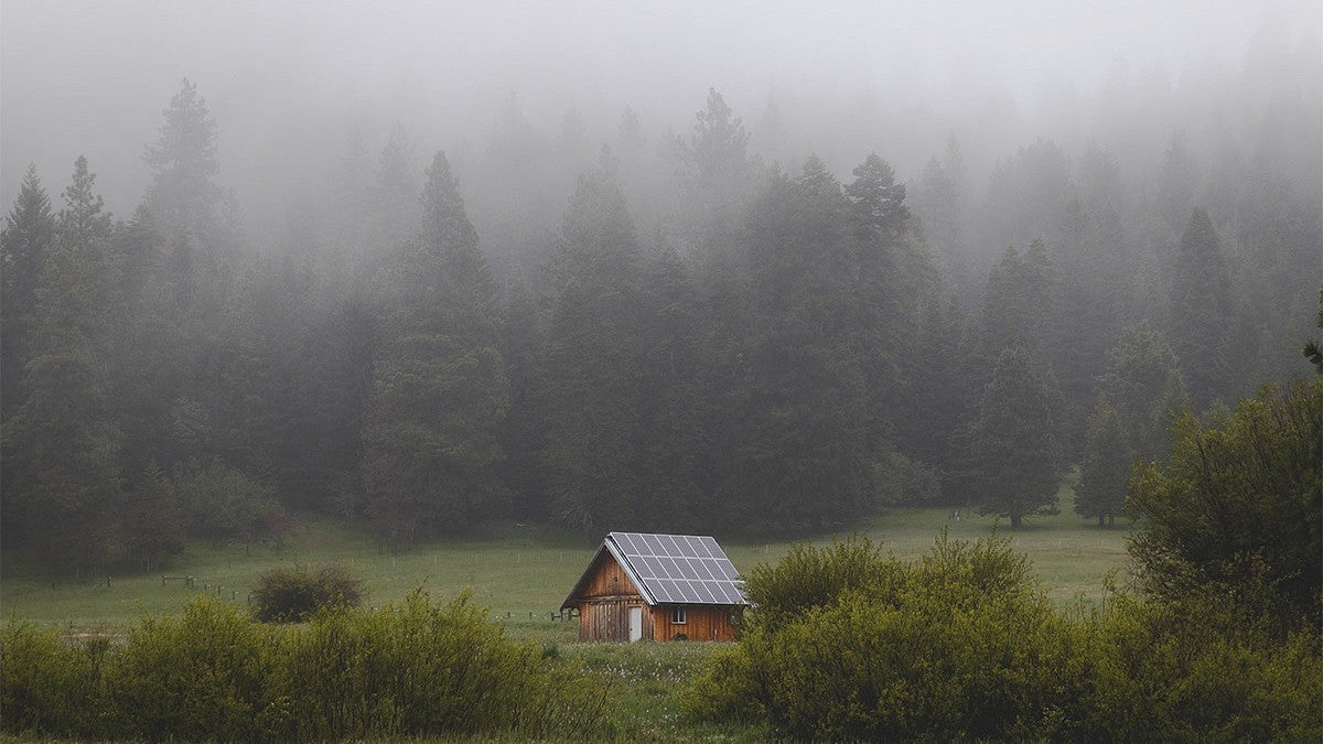 barn in misty field