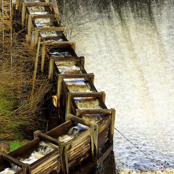 Fish Ladder