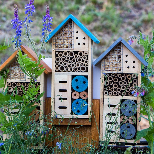 Bee House