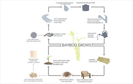 Bamboo Grows diagram