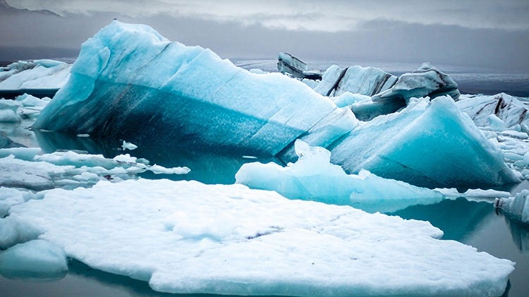 icebergs