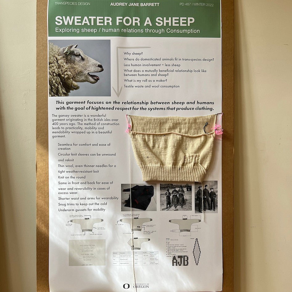 Sweater made from a sheep's wool - an exploration of sheep/human relations through consumption