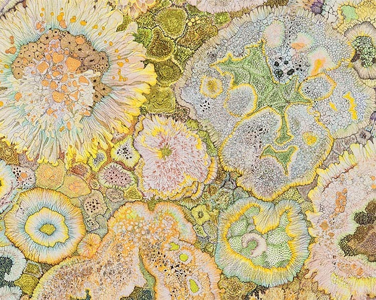 artwork by Claire Burnbridge