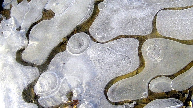 "Nature's Modern Art" ice photograph by Sarah Smith. Wikimedia Commons.