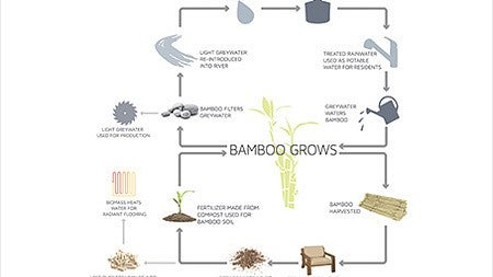 Bamboo Grows diagram