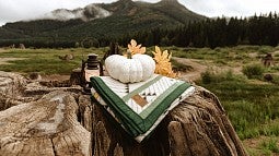 Photo of the "Home Flight" woolen blanket for sale at the Duck Store. 