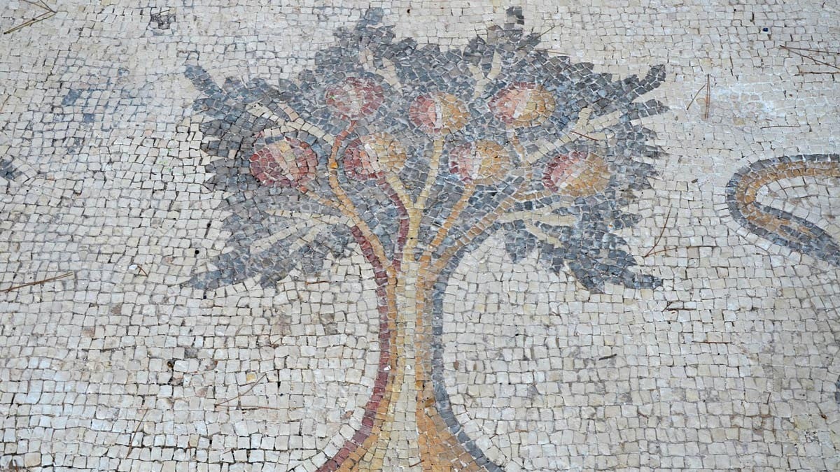 A pomegranate tree, detail from the 6th century AD Bird Mosaic. Image courtesy Wikimedia Commons.