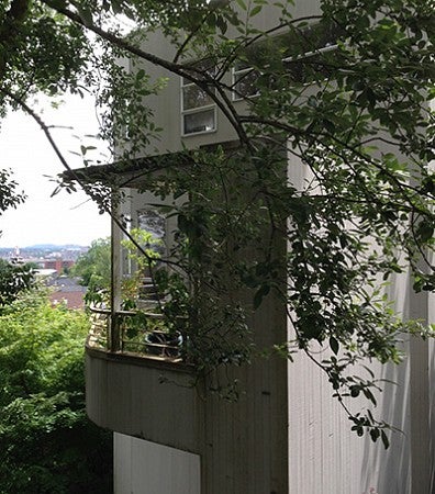 Jean Glazer's house, exterior Jean Glazer's house, exterior