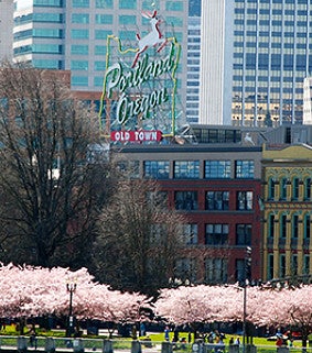 View of the Stag building in Portland with cherry blossoms in bloom.