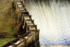 Fish Ladder