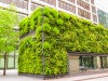 Building with exterior covered in vegetation