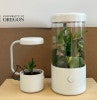 Pod made for efficiently growing plants.