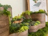 3D model of a multi-tiered structure made of wood covered in vegetation. Pictured is a plastic fox walking through the model.