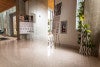 Entrance to Transpecies Design Exhibition